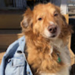 Meet your Posher, Tabitha